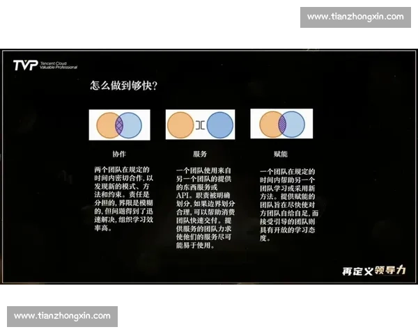 体育团队管理模式创新与协作效率提升策略研究