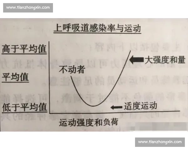 体育能力全面评估体系构建与应用研究探索