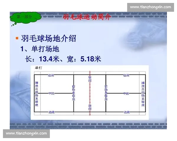 全面解读现代竞技体育规则变化及比赛裁判判罚标准