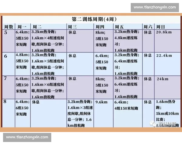 高效提升体能与健康的科学训练计划全攻略